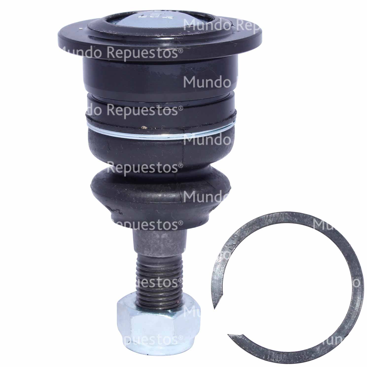 Rótula Superior Delantera Derecha Izquierda