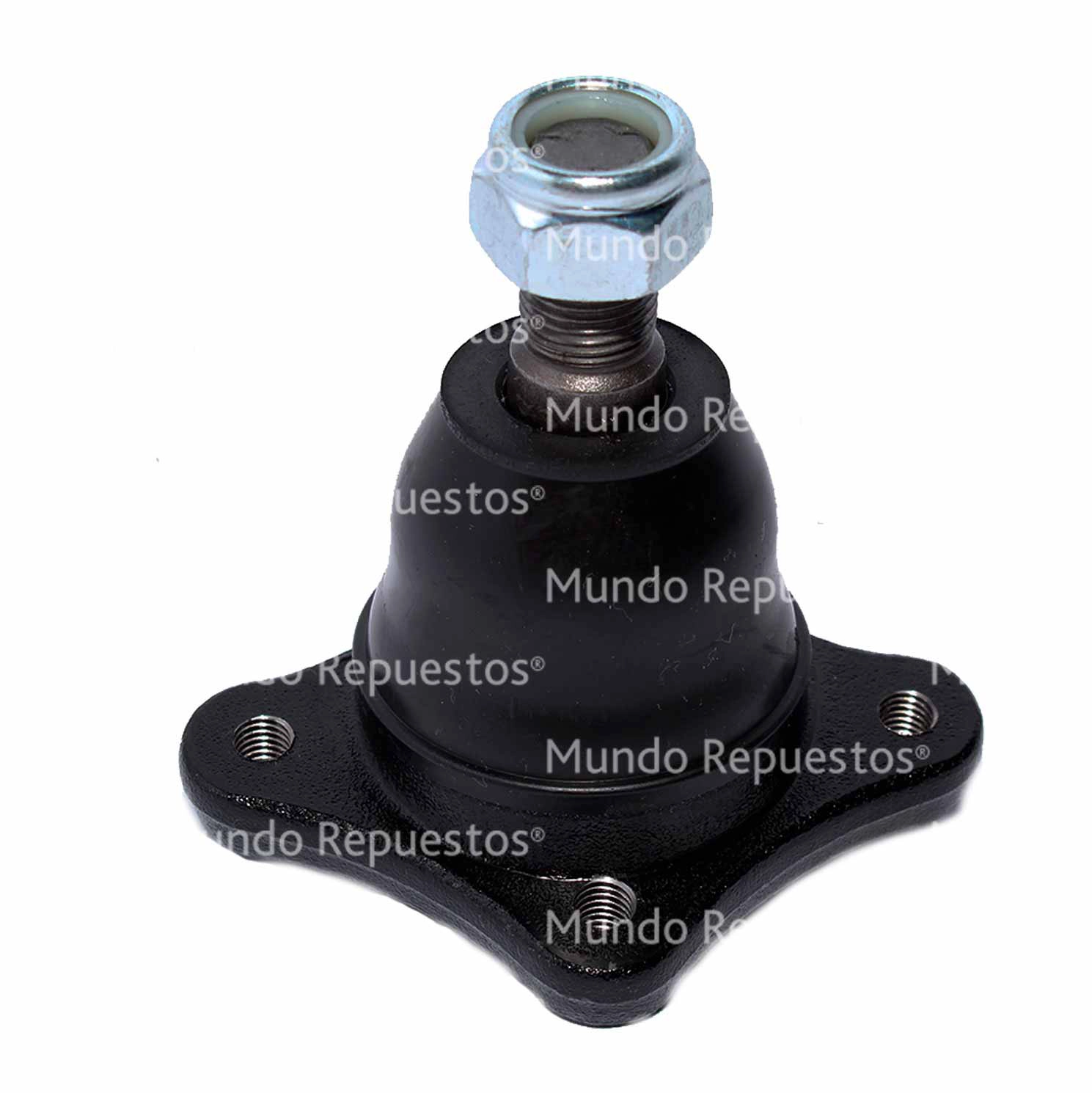 Rótula Superior Delantera Derecha Izquierda