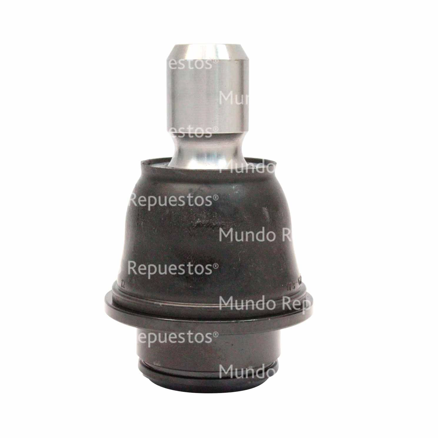 Rótula Inferior Delantera Derecha Izquierda
