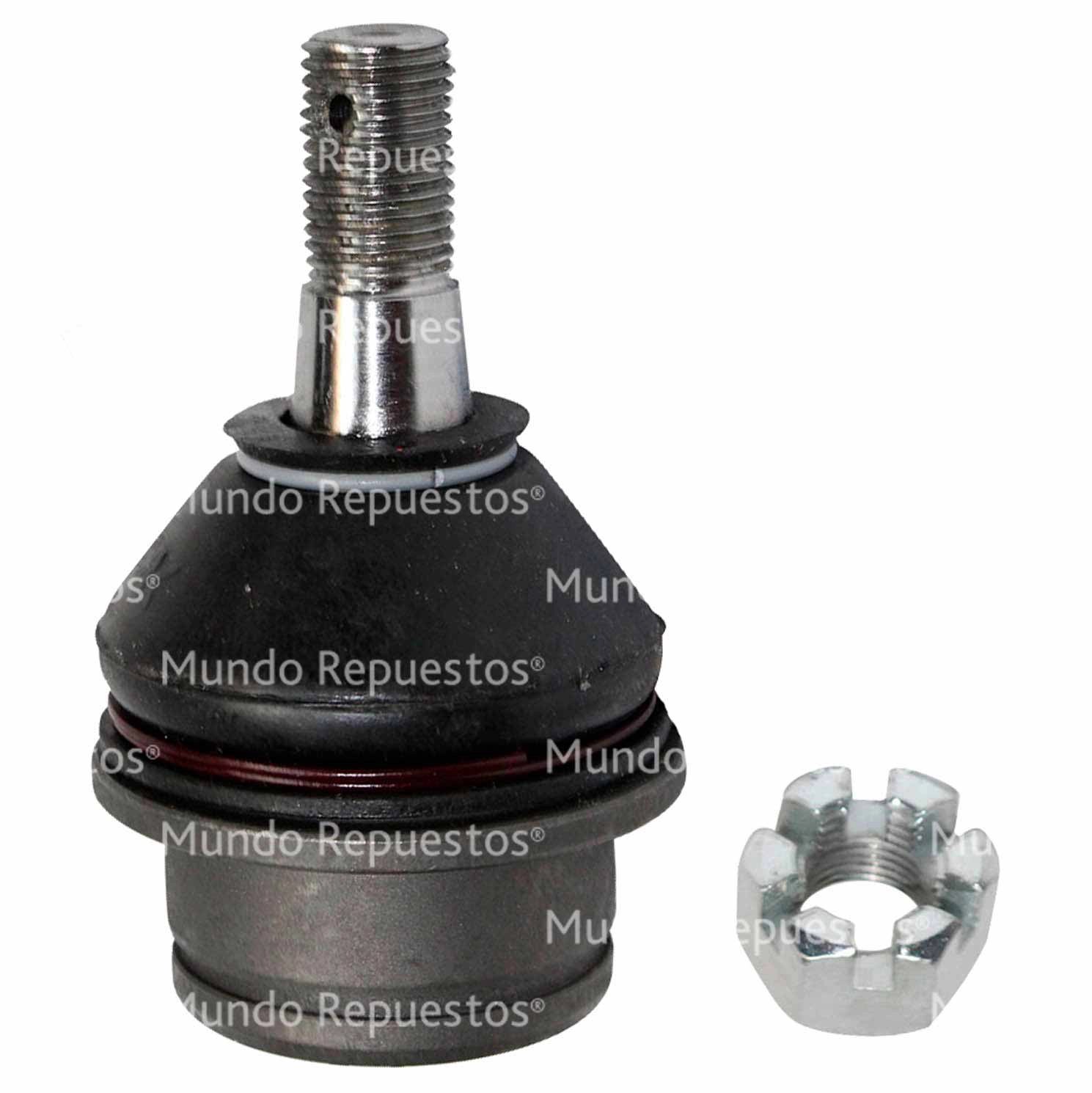 Rótula Superior Delantera