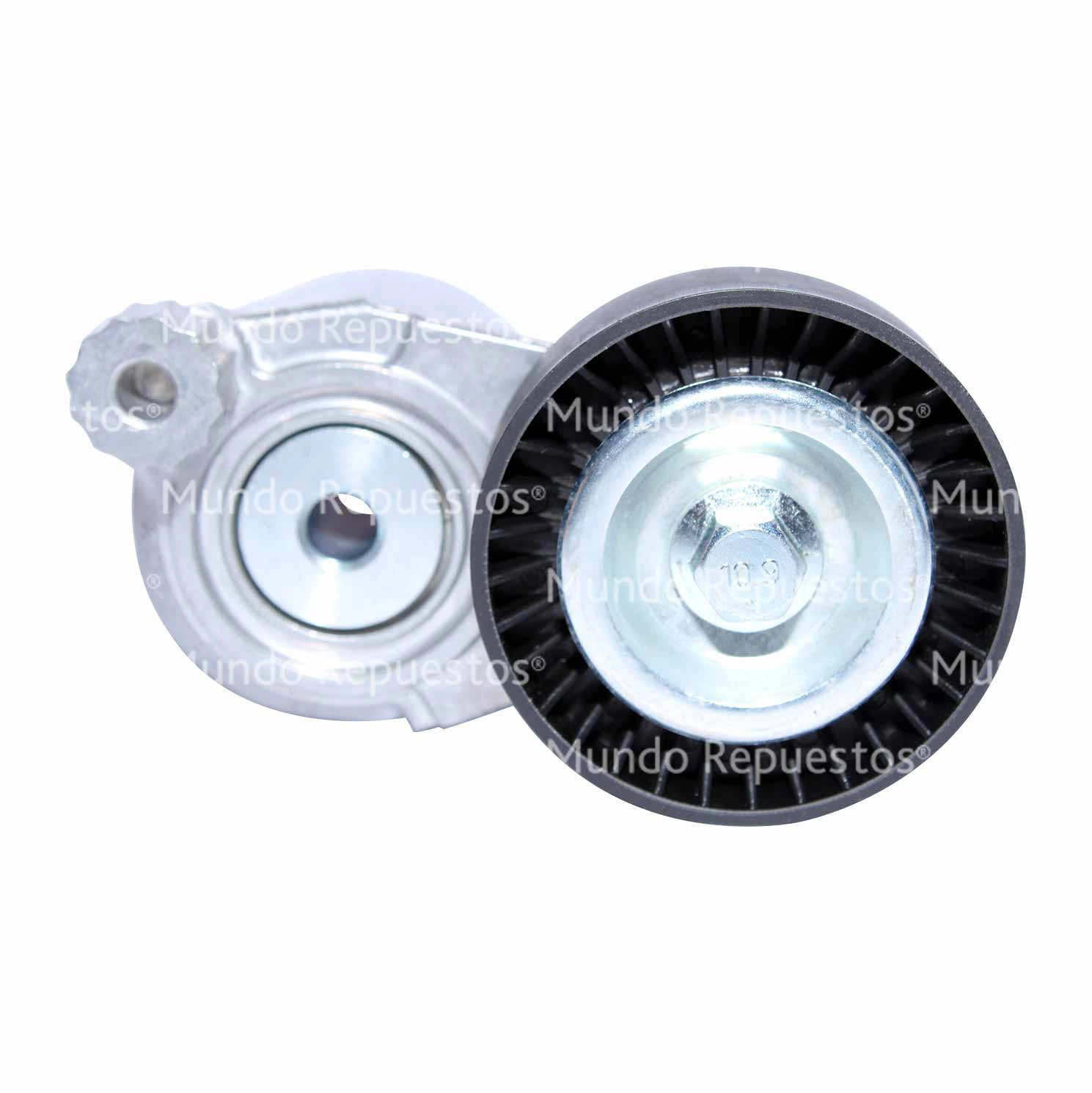 Tensor Correa de Accesorios AUTOMATICO LISO UNICA