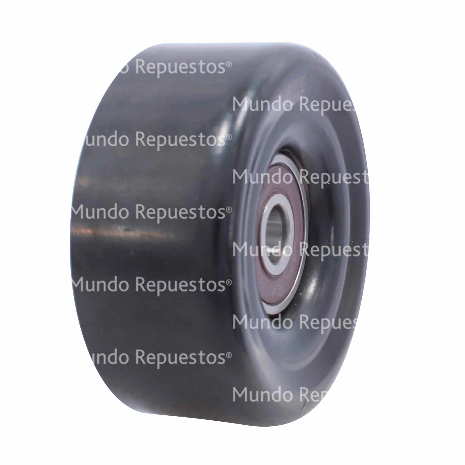 Polea Tensor Correa Alternador Liso