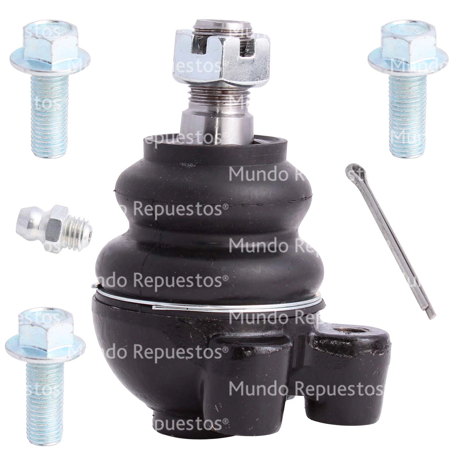 Rotula superior marca Stp disponible en Mundo Repuestos