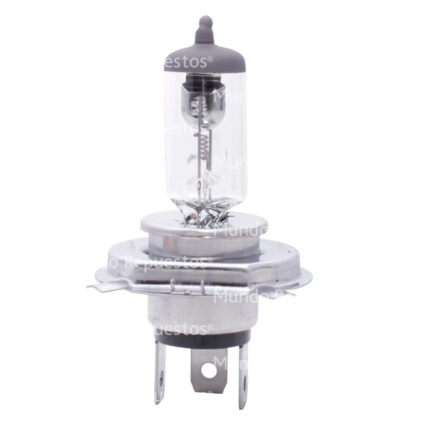 Ampolleta halógena H4 24 VOLTS