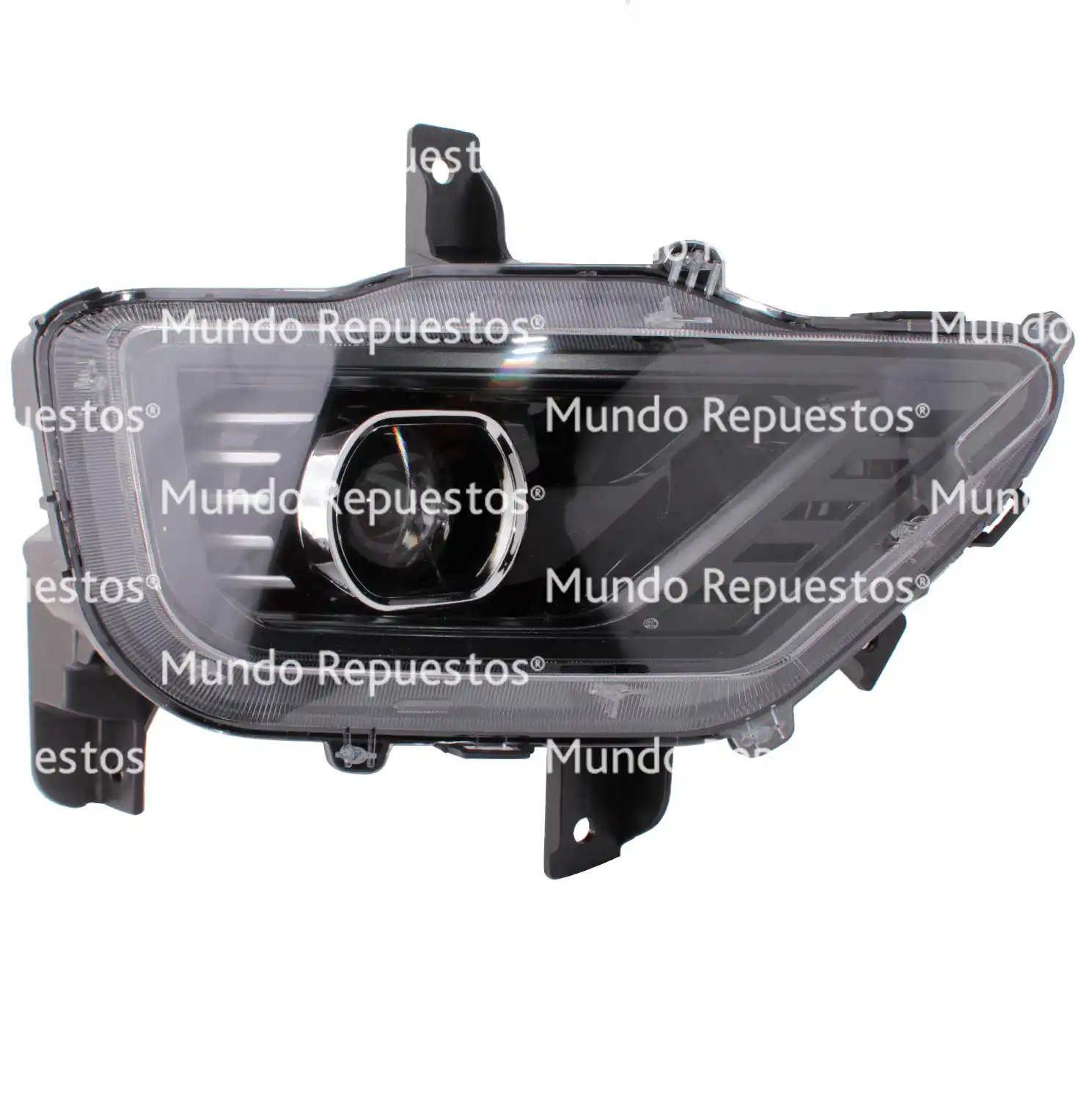 Óptico Izquierdo