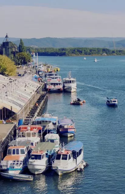 Repuestos automotrices en Valdivia